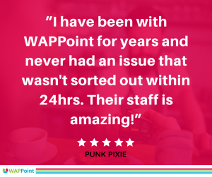 Punk Pixie Review